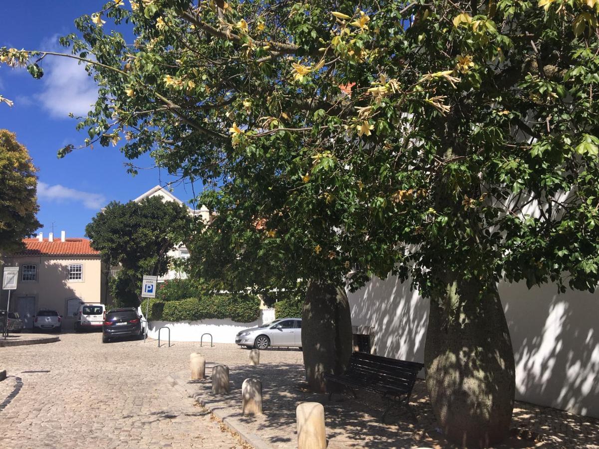 Ninho Salino Hotell Cascais Eksteriør bilde