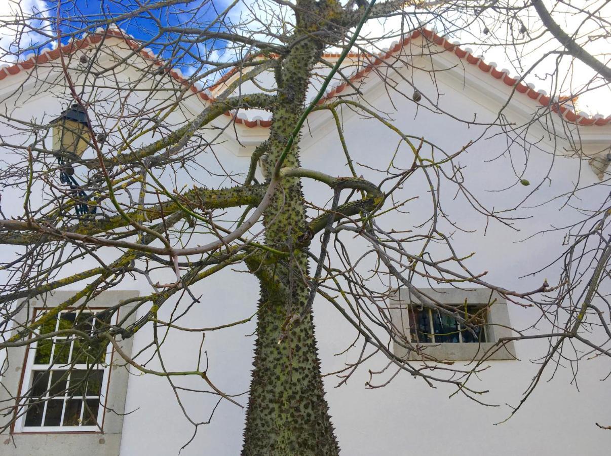 Ninho Salino Hotell Cascais Eksteriør bilde
